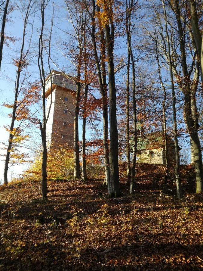 Gasthaus Zur Waldesruh Waffenbrunn 外观 照片