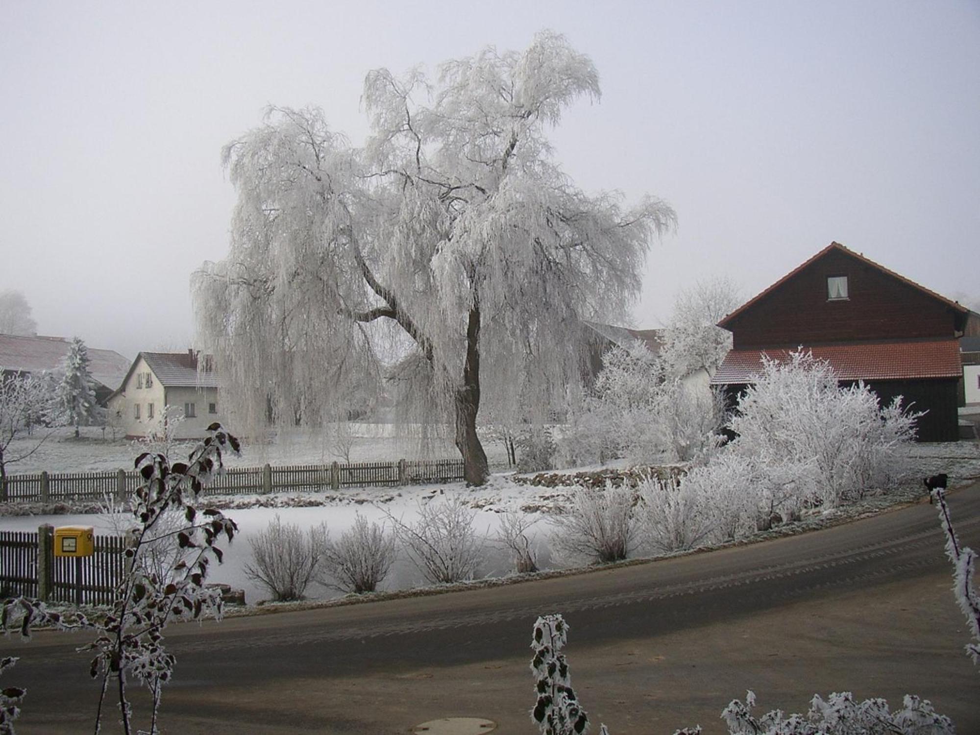 Gasthaus Zur Waldesruh Waffenbrunn 外观 照片