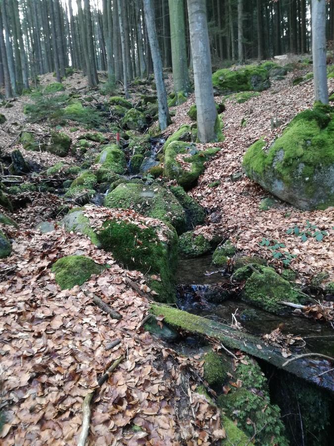 Gasthaus Zur Waldesruh Waffenbrunn 外观 照片