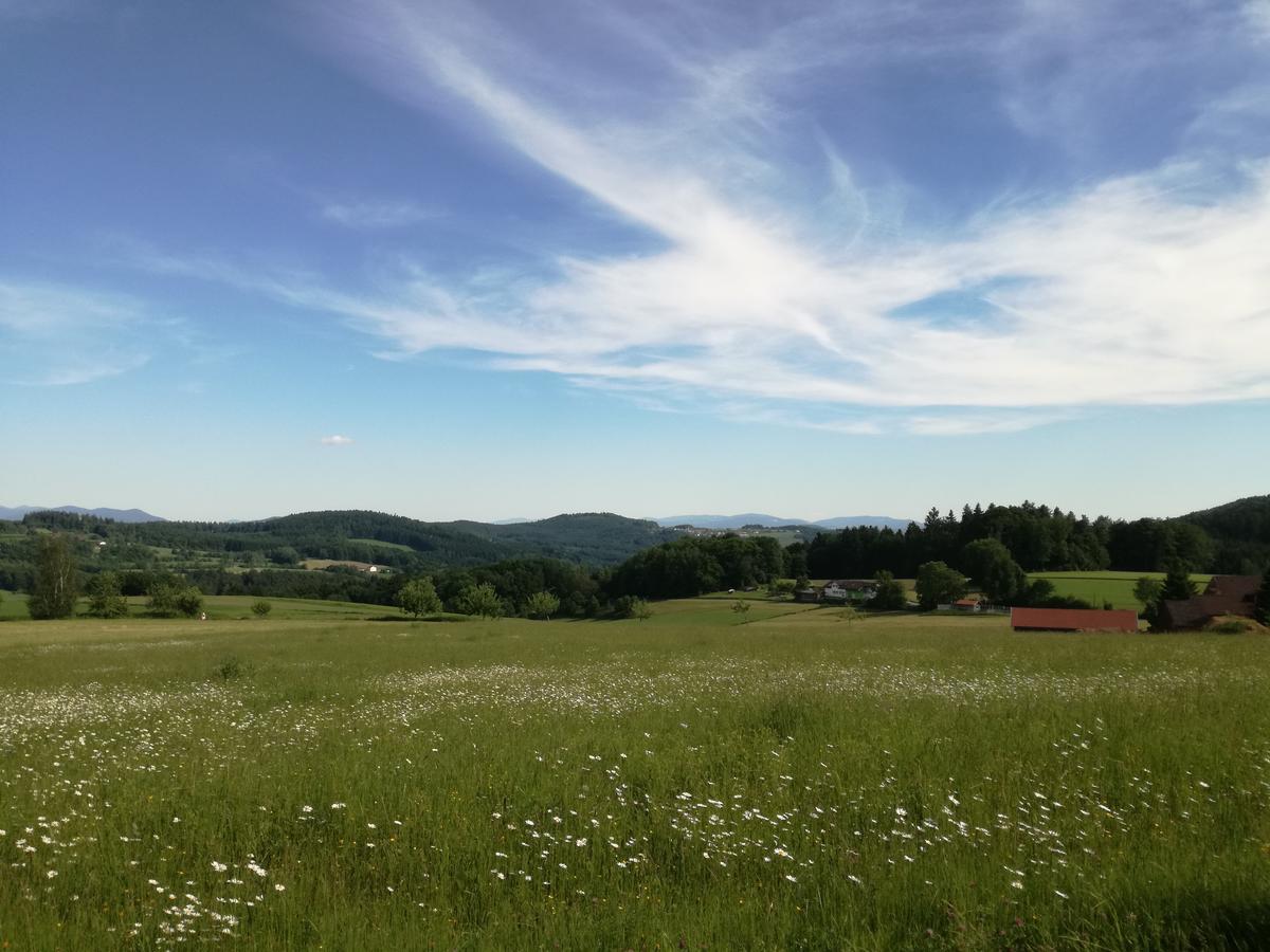 Gasthaus Zur Waldesruh Waffenbrunn 外观 照片